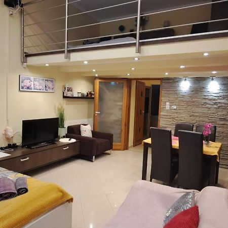 Szandi Belvarosi Apartman 塞格德 外观 照片