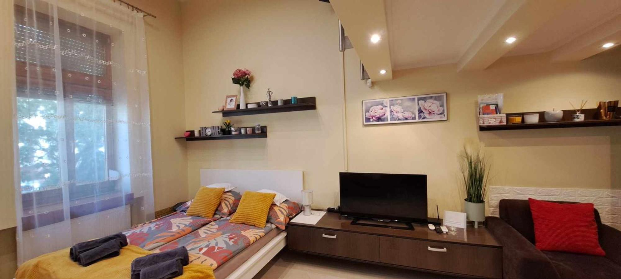 Szandi Belvarosi Apartman 塞格德 外观 照片