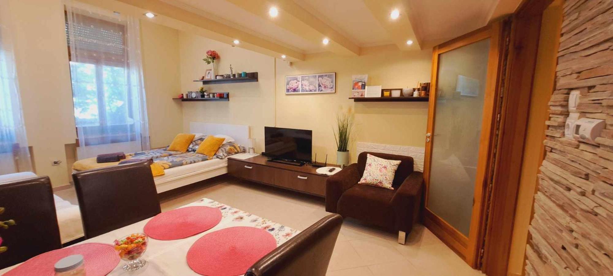 Szandi Belvarosi Apartman 塞格德 外观 照片