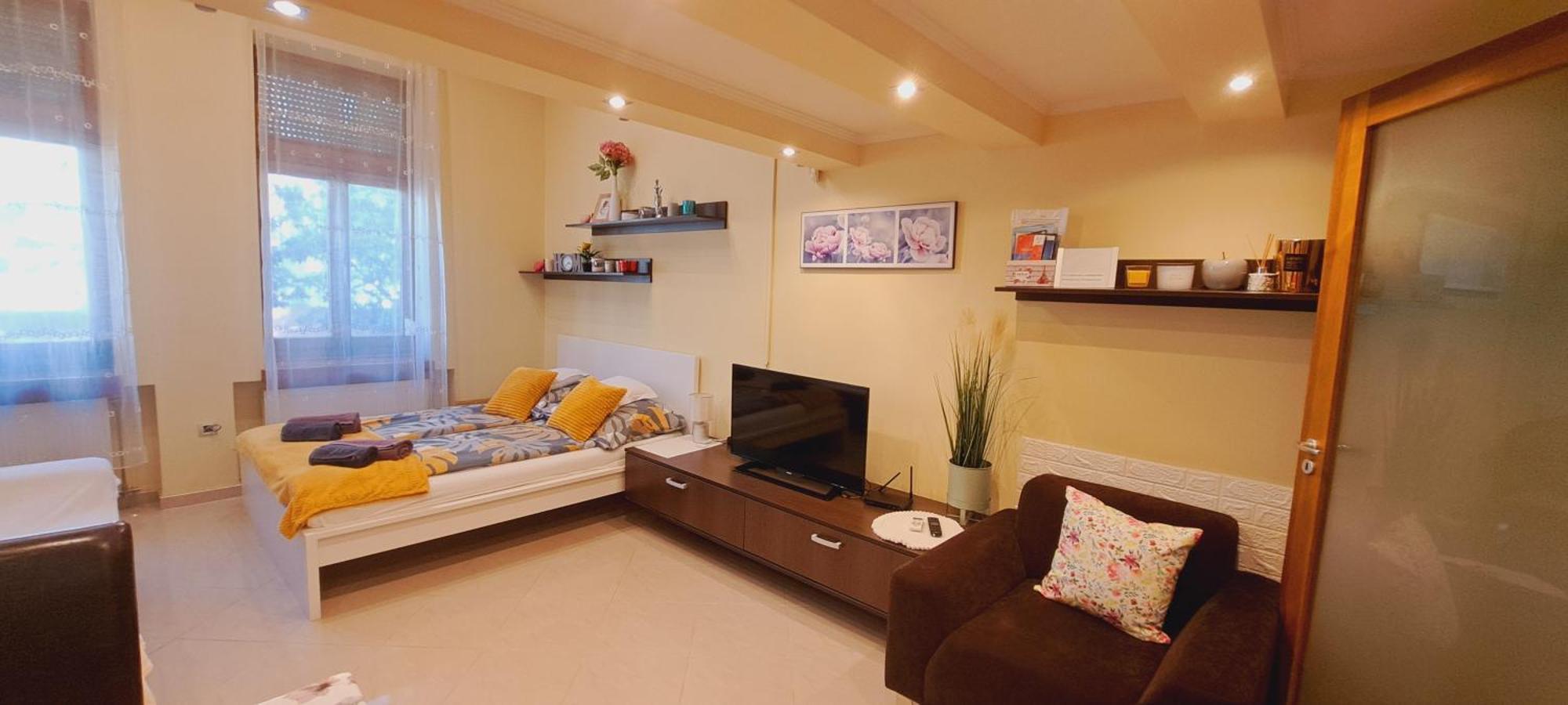 Szandi Belvarosi Apartman 塞格德 外观 照片